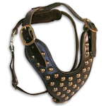 Perfect studded harness
